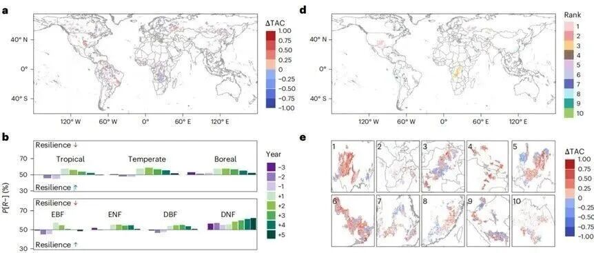 北师大人地系统耦合研究团队硕士生在Nature Ecology & Evolution发文，揭示极端多年干旱后人类压力与生物多样性共同塑造森林生态系统韧性