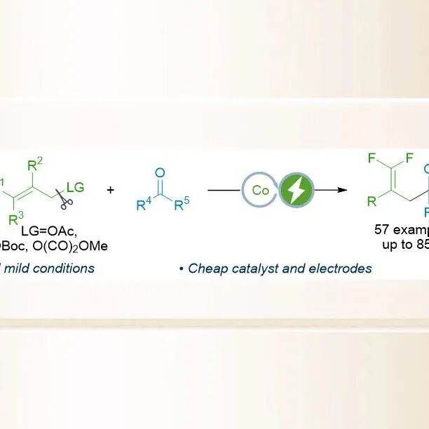 南京大学王毅教授课题组CCS Chem：电化学钴催化脱氟酮-烯烃偶联