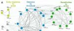 PNAS:揭示复杂生态系统中稳定性的维度