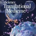 STM丨深度学习“智造”免疫调节肽：激活MST1，双管齐下稳定扩增调节性T细胞