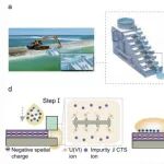 电子科技大学：液滴提铀 | Nature Sustainability