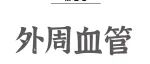 Adv Sci丨揭秘硬骨抑素蛋白心血管保护机制