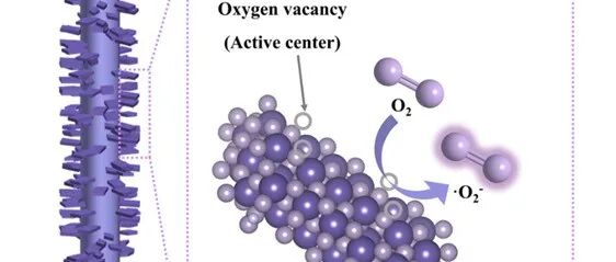 Small | 凹凸棒石氧空位诱导模板介导二氧化锰纳米酶类氧化酶活性的高效提升