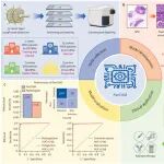 Lancet子刊 | 中山大学林天歆/吴少旭团队发表泛癌种淋巴结转移AI病理诊断模型