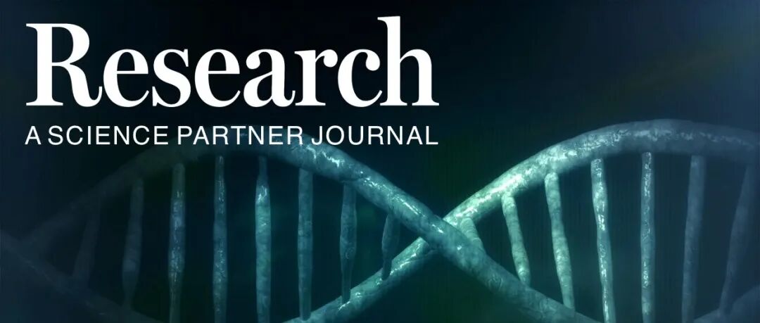 Research|海南医科大学何祖平团队揭示IGF2BP1/HMOX1以m6A依赖方式调控人类精原干细胞的命运决定和男性不育