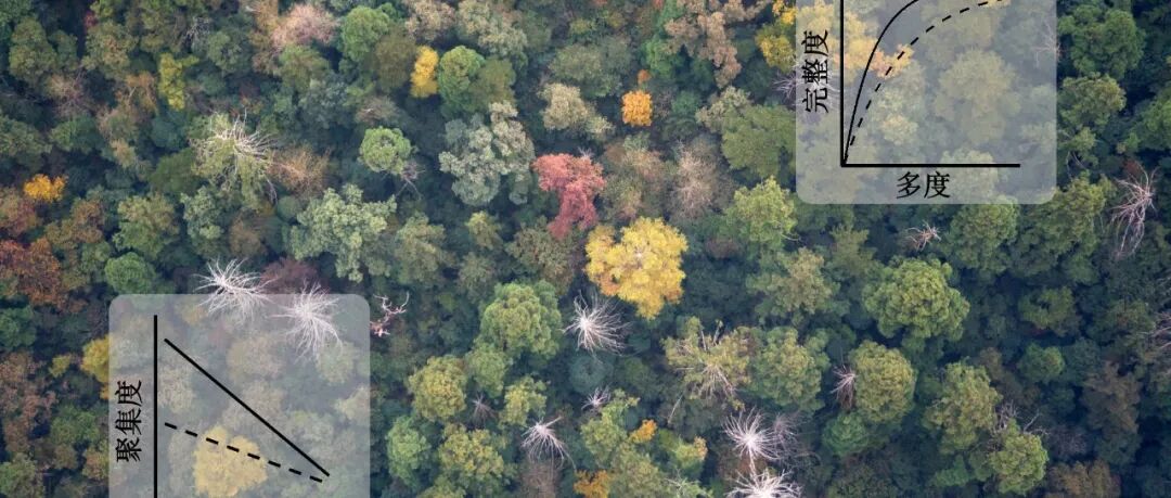 生物多样性 | 生态学数据分析方法专题