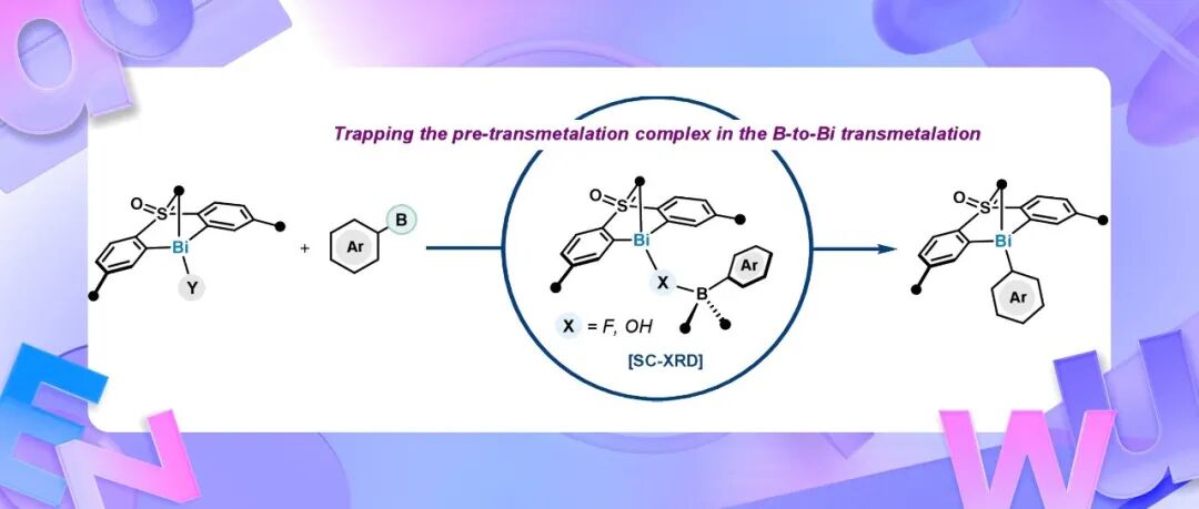 【JACS】四面体奖获得者马普所Cornella：芳基转移中的转金属化前体配合物