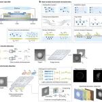 研究前沿：仇成伟，晶体管型光电子传感器  | Nature Sensors