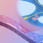 Science | 给热能“修一条高速路”：狄重安团队仿造不规则多孔结构，让聚合物同时成为电的“导体”和热的“绝缘体”