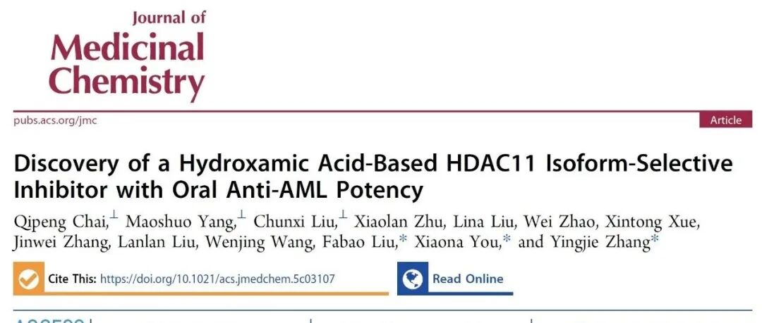 J Med Chem | 山东大学药学院报道具有口服抗AML活性的HDAC11亚型选择性抑制剂的发现