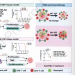 Ju00A0Hepatol | 重庆医科大学赵金秋团队破解肝内胆管癌免疫治疗耐药之谜：YAP是重塑肿瘤微环境的关键开关
