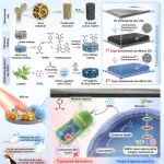 Adv Sci | 从表面工程到体积工程：3D药物储库破解糖尿病植入物感染难题