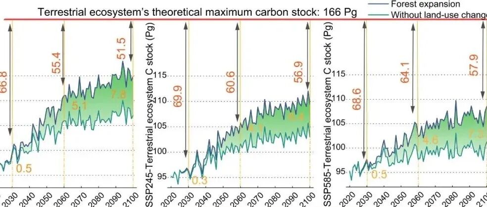 全国尺度评估丨GLOBAL CHANGE BIOL：中国陆地生态系统理论与实际碳封存潜力