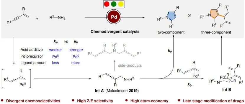 中国科学院大连化学物理研究所陈庆安教授和季定纬组：钯催化下 1,3-烯炔与苯胺化学偶联生成二氢吡咯骨架