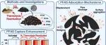短链PFAS为什么总‘吸不住’？这篇EST把生物炭的关键规律讲透了