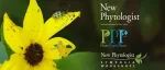 New Phytologist 正式支持作者署名显示中文姓名