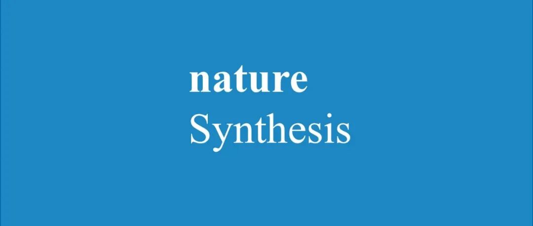 清华大学周光敏Nature Synthesis：价态门控策略精准调控晶型 多晶钴赋能超高效率锌 - 空气电池