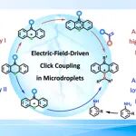 【JACS】四川大学蔡镇锋/刘沁蕾：电场驱动的吩噻嗪和胺双路径氧化点击偶联
