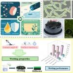 太原理工大学何宏伟 Polymer：基于润湿性的老化 SBS 再生机理 - 靶向修复及 SBS 改性沥青（SMB）再生