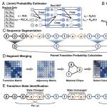 PNAS | 蛋白质折叠“黑箱”被打开！南开大学邵学广等团队发现AI新方法CTC突破传统限制，从分子模拟中无偏揭示蛋白质折叠中间态