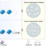 PNAS | 破解真核生物6mA去甲基化谜题！中国海洋大学高珊团队鉴定AlkB家族酶DMT3为关键“纠错”因子