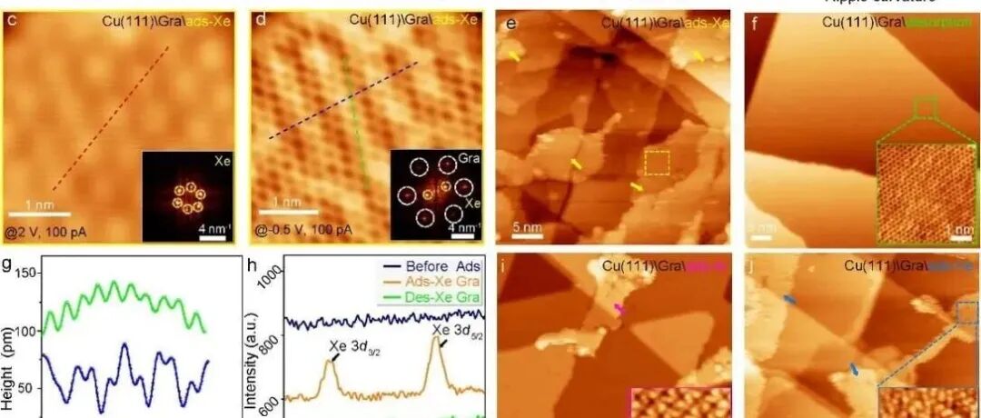 南京大学物理学院高力波、袁国文团队与合作者发现石墨烯的“波纹”竟能室温下抓住“高冷”的惰性气体