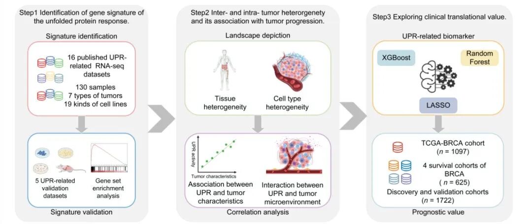 iMetaOmics | 海南大学盛夏组解析泛癌水平未折叠蛋白响应与肿瘤进展关联