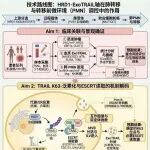2026年国自然精美的技术路线图模板鉴赏