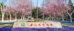 安徽农业大学硕士生以第一作者身份在一区Top期刊（IF=28.9）上发表研究论文