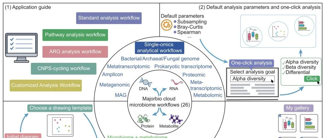 iMeta | 美吉生物云2026提供全面的微生物组分析