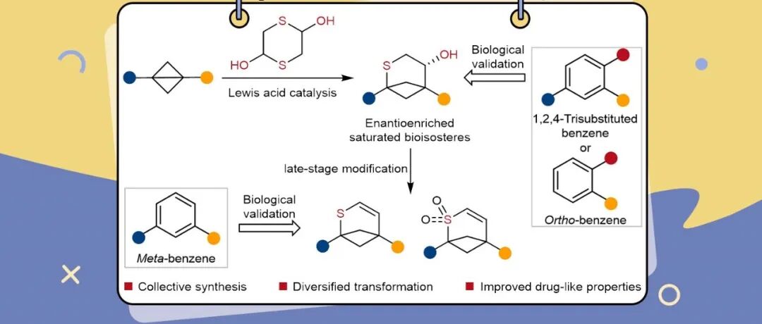 【Nat. Chem.】湖南大学冯见君教授团队：由双环丁烷集群式合成1,2,4-三取代、间位和邻位取代苯环的饱和生物电子等排体