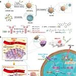 高丽大丁启航/药物所程震/澳大冷栋梁、赵琦 JACS：NIR-II纳米工程CAR-NK细胞实现精准导航并增强肺癌免疫治疗