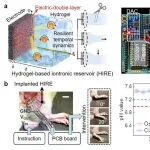 南京大学施毅团队万昌锦《Nat. Mater.》：基于自修复水凝胶构建高可靠、低功耗、柔性可植入神经形态假体