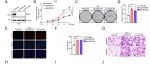Cancer Res | 同济大学高昆/万小平揭示NSD1通过甲基化PPARγ激活PTEN，抑制糖酵解与肿瘤进展，靶向AKT可逆转恶性表型