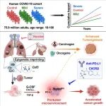 Cell | 重症感冒会“埋雷”？ 孙杰团队揭示病毒感染后肺里留下促癌环境，加速肺癌生长