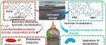‘永远化学品’也能被吃掉？厌氧微生物撬动醚类PFAS脱氟新机制