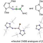 四川大学卢伟课题组JACS：含硼-硼不饱和键的中性累积多烯