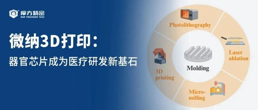 从实验室到人体：3D打印器官芯片成为医疗研发新基石
