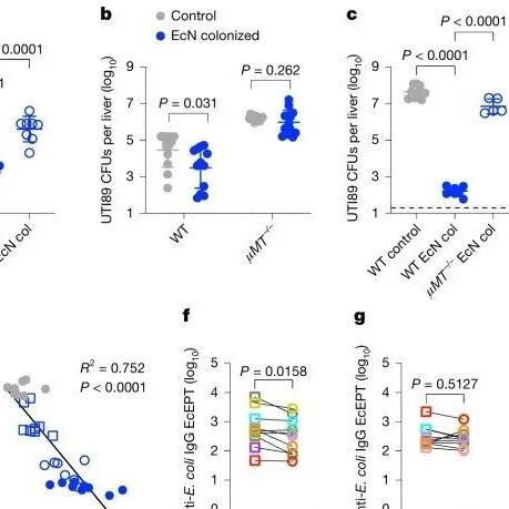 母体肠道菌群守护新生儿：《Nature》揭示益生菌定植可诱导保护性抗体，垂直传递预防致命感染