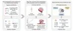 iMetaOmics | 海南大学盛夏组解析泛癌水平未折叠蛋白响应与肿瘤进展关联