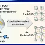 【JACS】暨南大学陆伟刚/李丹教授团队联合江南大学赵一芳副教授团队：回流合成共价键连接的八核镍簇基金属有机框架