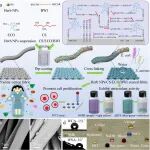 青岛大学牛海涛、周华教授团队 IJBM：天然植物基、无氟多功能涂层织物的构建与性能研究 - 集高牢度超疏水、抗菌与抗氧化于一体