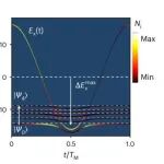 研究前沿：弗洛凯工程-微腔 | Nature Photonics