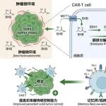 从cell延申拓展题目：CAR-T代谢持续性与β-羟丁酸选题设计