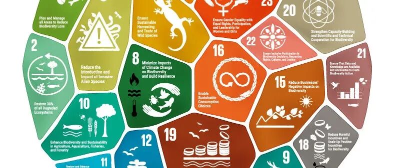 生物多样性 | 生物多样性保护融资与企业参与专题