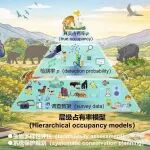 生物多样性 |\u00A0看不见不代表不存在！——层级占有率模型破解生物监测中的隐藏难题