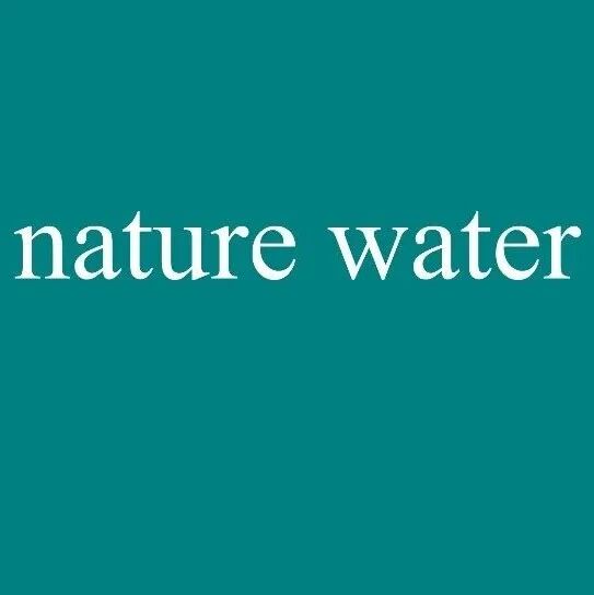 Nature Water | 一石二鸟：把“永久污染物”变成提锂原料