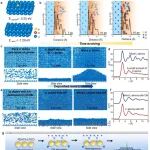 深圳理工大学和北京理工大学研究团队Materials Science & Engineering：非晶锂助力硫化物全固态电池低温长循环和高倍率