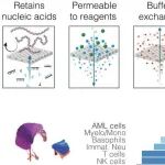 Science | 背靠背！单细胞分析进入“胶囊时代”！两项独立研究推出新型半透性胶囊平台，攻克活细胞长期培养与多步基因组学难题