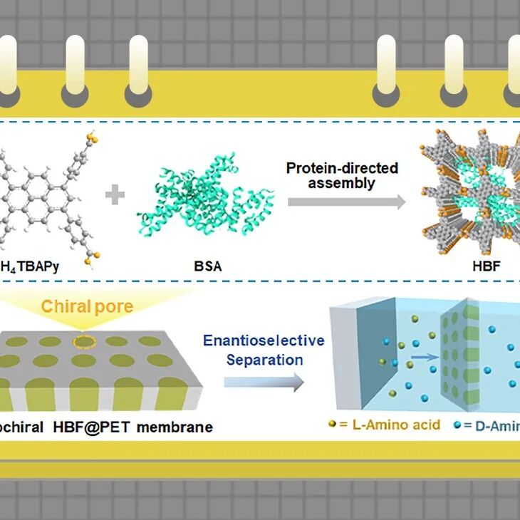 【JACS】兰州大学汪宝堆/中国科学院近代物理研究所段敬来团队：强健型手性氢键杂合生物纳米通道核孔膜用于氨基酸的高效对映体分离